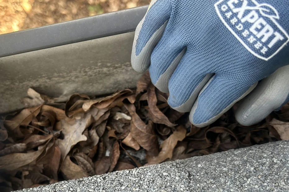 Gutter Cleaning West Point